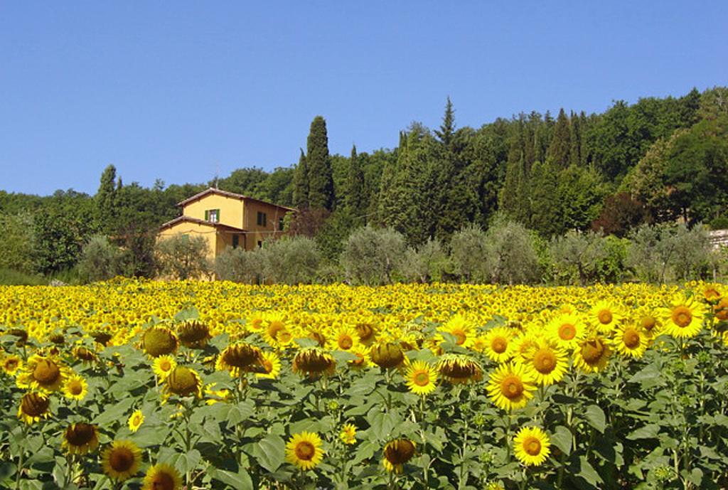 הוילה Molino del Piano I Casali Del Trebbiolo מראה חיצוני תמונה